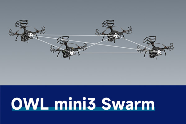 貓頭鷹mini3（蜂群版）